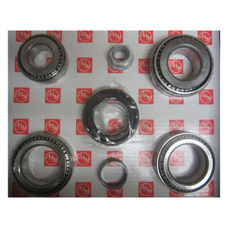 AAM® - Differential Bearing Kit