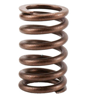 ACDelco® - Genuine GM Parts™ Valve Spring