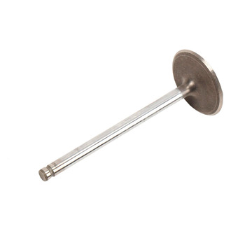 ACDelco® - Genuine GM Parts™ Intake Valve