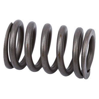 ACDelco® - Genuine GM Parts™ Valve Spring