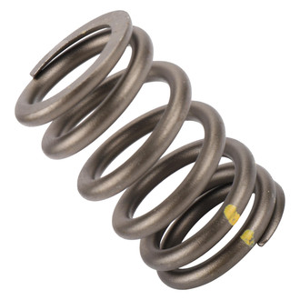 ACDelco® - Genuine GM Parts™ Valve Spring