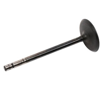 ACDelco® - Genuine GM Parts™ Intake Valve