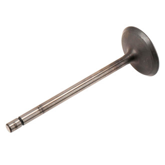 ACDelco® - Genuine GM Parts™ Intake Valve
