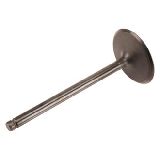 ACDelco® - Genuine GM Parts™ Intake Valve