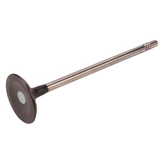 ACDelco® - Genuine GM Parts™ Intake Valve
