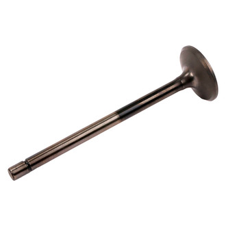 ACDelco® - Genuine GM Parts™ Exhaust Valve