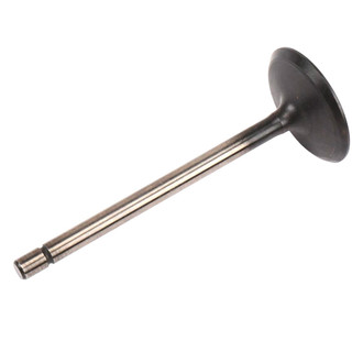 ACDelco® - Genuine GM Parts™ Intake Valve