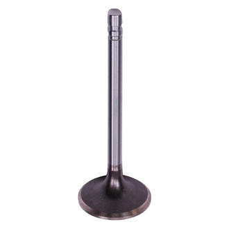 ACDelco® - Genuine GM Parts™ Intake Valve