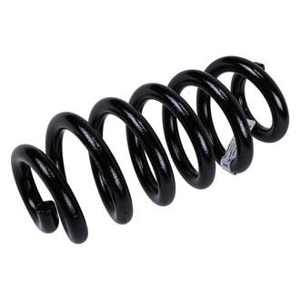 ACDelco® - Genuine GM Parts™ Rear Coil Spring