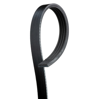 ACDelco® - Professional™ Standard V-Ribbed Serpentine Belt