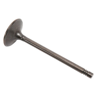 ACDelco® - Genuine GM Parts™ Intake Valve