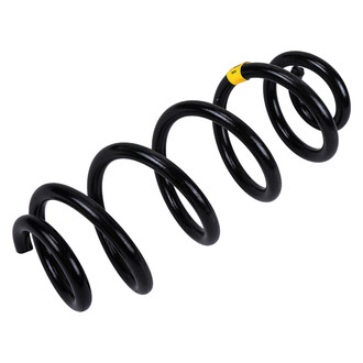 ACDelco® - Genuine GM Parts™ Rear Coil Spring
