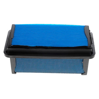 ACDelco® - Professional™ Air Filter