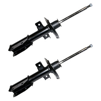 ACDelco® - Professional™ Front Strut Set