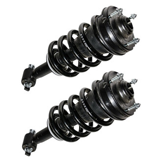 ACDelco® - Professional™ Front Strut Set