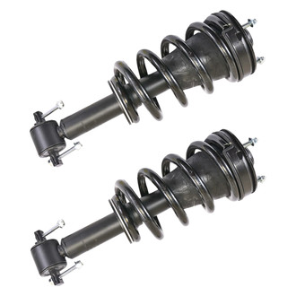 ACDelco® - Professional™ Front Strut Set
