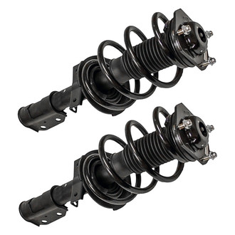 ACDelco® - Professional™ Front Strut Set