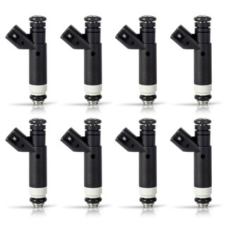 Aceon® - Fuel Injector