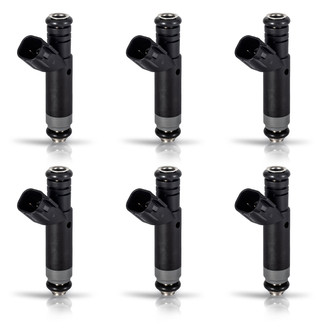 Aceon® - Fuel Injector