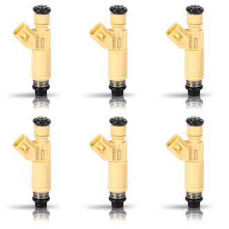 Aceon® - Fuel Injector