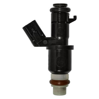 Aceon® - Fuel Injector
