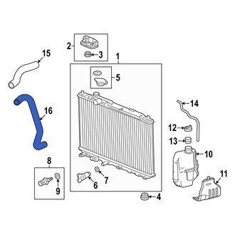 Acura OE - Lower Radiator Coolant Hose