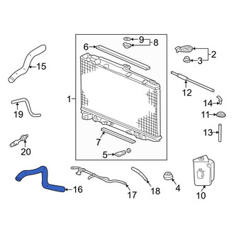 Acura OE - Lower Radiator Coolant Hose