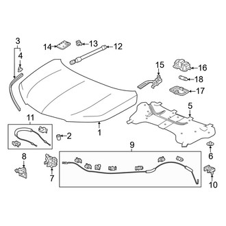 Acura OE - Hood & Components