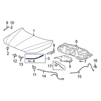 Acura OE - Front Outer Hood Seal