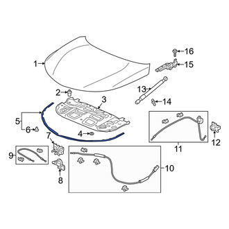 Acura OE - Front Hood Seal