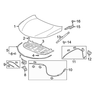 Acura OE - Hood & Components