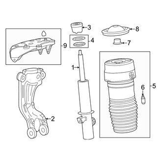 Acura OE - Front Suspension - Struts & Components (With Air Suspension), (Type S)
