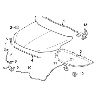 Acura OE - Hood & Components
