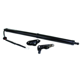 AISIN® - Passenger Side Liftgate Actuator