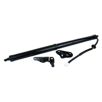 AISIN® - Driver Side Liftgate Actuator