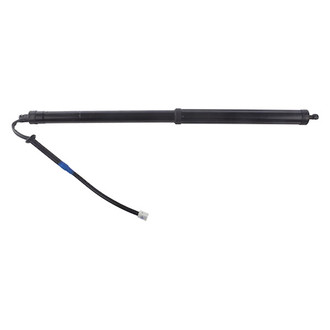 AISIN® - Passenger Side Liftgate Actuator