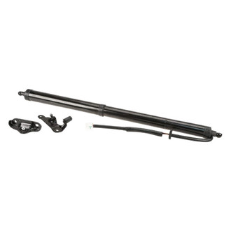 AISIN® - Passenger Side Tailgate Pull Down Motor