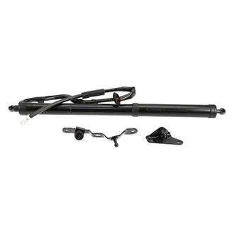 AISIN® - Driver Side Tailgate Pull Down Motor