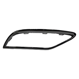 Alzare® - Rear Driver Side Bumper Cover Molding (Standard Line)