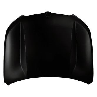 Alzare® - Hood Panel (Standard Line)