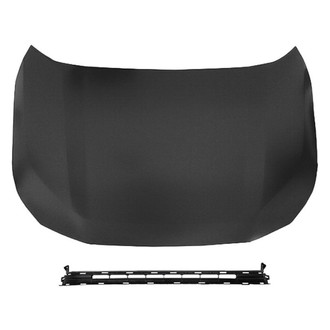 Alzare® - 2-Piece (Hood Panel, Grille) (Standard Line)