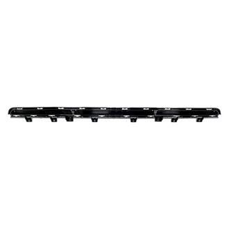 Alzare® - Front Bumper Molding (Standard Line)