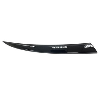 Alzare® - Passenger Side Headlight Molding (Standard Line)