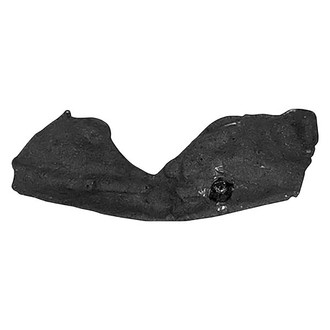 Alzare® - Front Passenger Side Fender Liner (Standard Line)