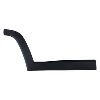 Alzare® - Rear Passenger Side Door Molding (Standard Line)