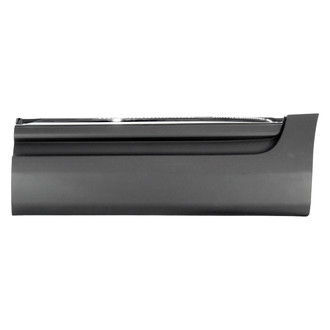 Alzare® - Rear Driver Side Door Molding (Standard Line)
