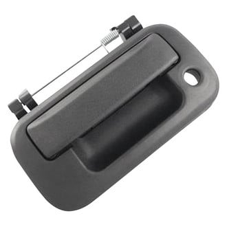 Alzare® FO1915111 - Tailgate Handle (Standard Line)