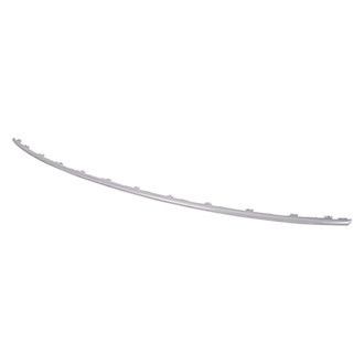 Alzare® - Rear Bumper Cover Molding
