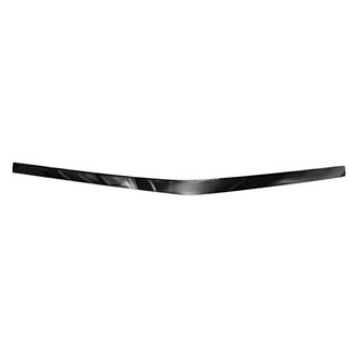 Alzare® - Hood Molding (Standard Line)