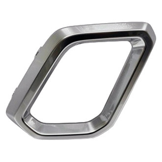 Alzare® - Front Lower Outer Passenger Side Bumper Grille Bezel (Standard Line)